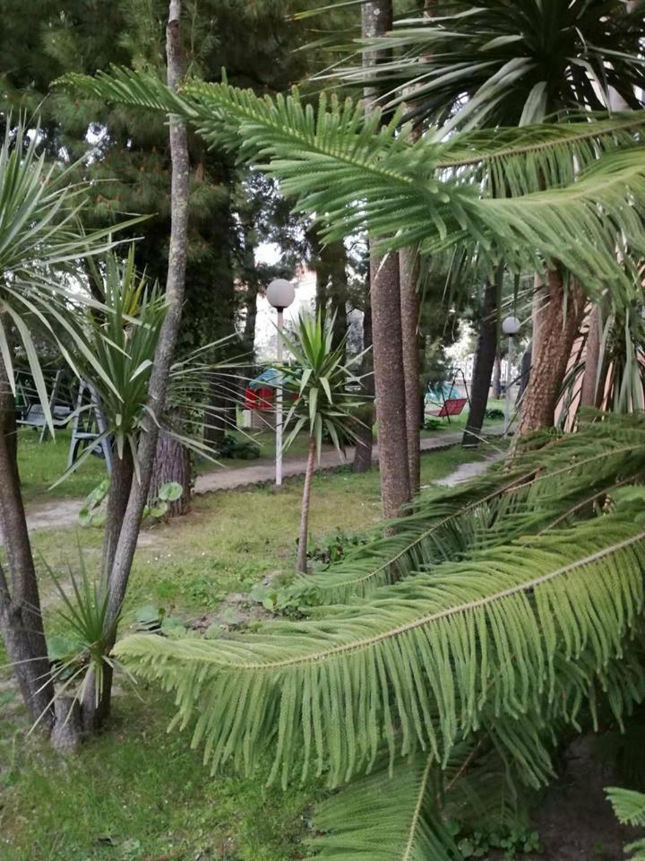La Terrazza